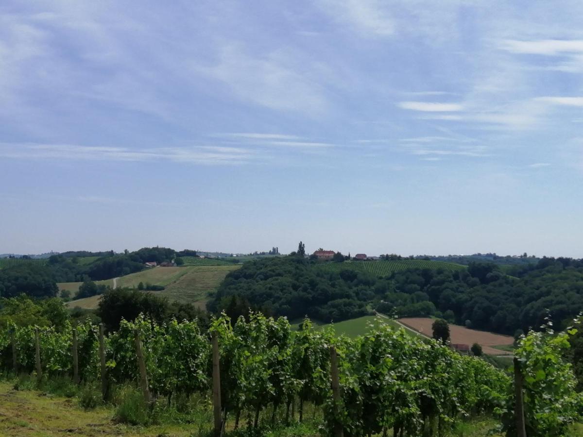 Apartmaji Svetinje Lägenhet Ivanjkovci Exteriör bild