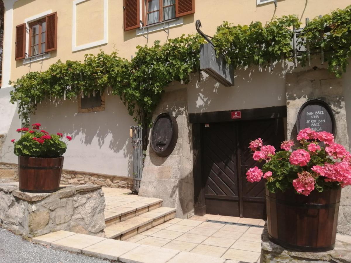 Apartmaji Svetinje Lägenhet Ivanjkovci Exteriör bild
